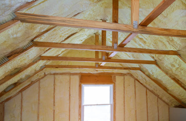 Best Eco-Friendly Insulation in Andrews, SC