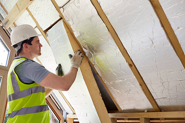 Best Cellulose Insulation in Andrews, SC
