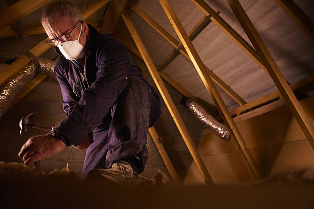 Types of Insulation We Offer in Andrews, SC